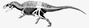 Top 10 Largest Theropods - Acrocanthosaurus Skeleton Drawing
