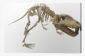 Dinosaur