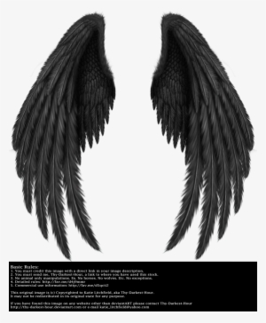 Winged Fantasy V 2 Black By Thy Darkest Hour - Angel Of Death Wings