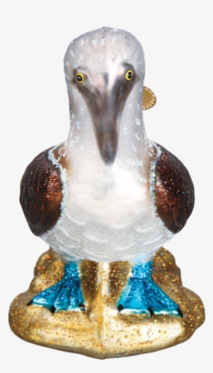 Blue Footed Booby Bird Glass Christmas Ornaments - Old World Christmas Blue Footed Booby Glass Blown Ornament