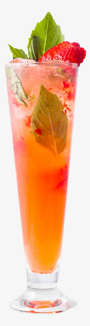 Coconut Alcoholic Drinks - Cocktail