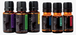 Unleash The Power Of The Senses - Forever Essential Oils