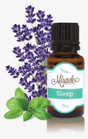 Lavender Essential Oil - Miracle Essential Oils