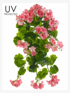 21" Uv Protected Geranium Hanging Bush Pink - Allstate Floral & Craft Uv Protected Outdoor Silk