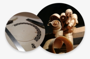 Ease, Sensitivity, Colour, Nuance, Dynamics And Precision - Shell