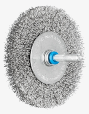 Select Variant - Pferd Staalborstel 0,20 80x10/6 Rvs