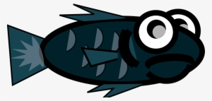 Fish, Scales, Swim - Fish