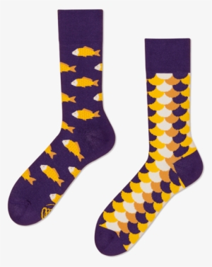 Fish And Scales - Many Mornings Fish