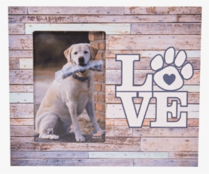 Picture Frame " - Dog Transparent Frames Png
