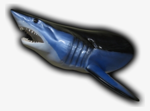 Shark Head Mount Fish Mount - Blue Whale