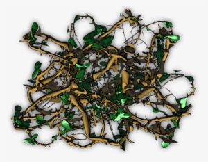 Thorns, Spines, And Prickles