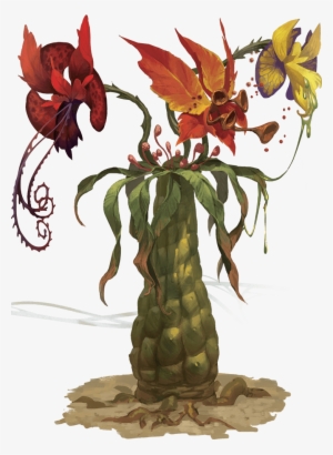 1/2 - Tomb Of Annihilation Monsters