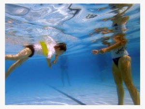 $5 - 50