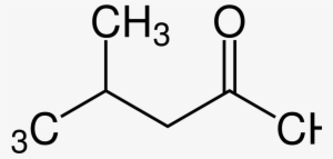 Global Methyl Isobutyl Ketone Market - 2 Methylbutane