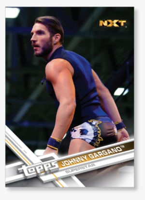 Johnny Gargano - Hurdling