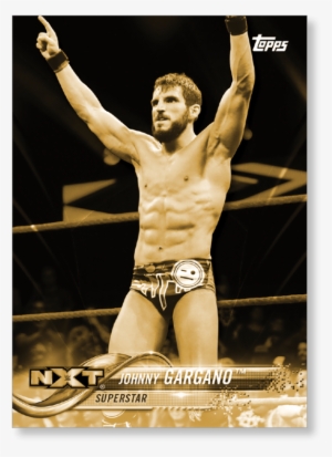 2018 Topps Wwe Johnny Gargano - Wrestler