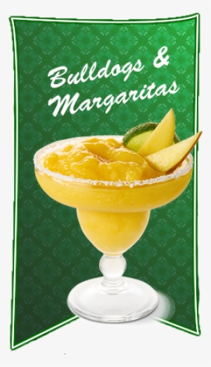 We Were Excited To Introduce The Truly Mexican Food - Quicksilver I Have A Dream