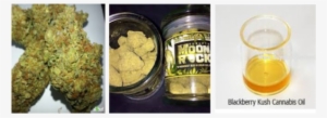 Photo - Cannabis Shop