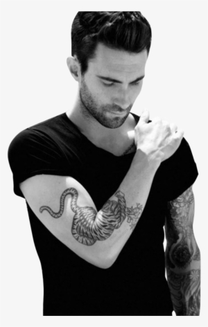 Report Abuse - Adam Levine