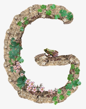 Alphabet, Letter, G, Rustic, Timber, Bark - Alphabet