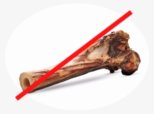 Dog Toys To Avoid - American Prime Cuts Beef Tibia Knuckle Dog Bone, 1.5