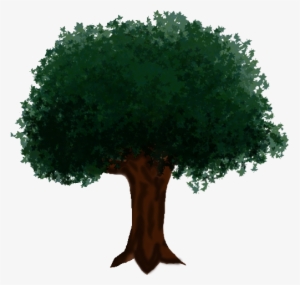 Sunday, April 18, 2004 - Oak