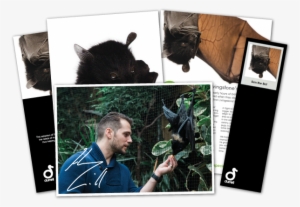 Ben The Bat Adoption - Henry Cavill Ben The Bat