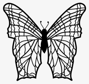 Butterfly With Complex Thin Lines Pattern Wings From - Mariposa Con Lineas Rectas