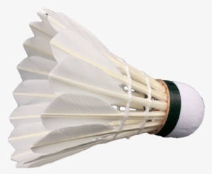 High <strong>quality</strong> &amp - Badminton