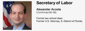 Back To The Cabinet - R Alexander Acosta