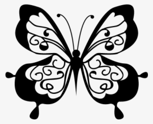 Cute Butterfly Top View Vector - Butterfly