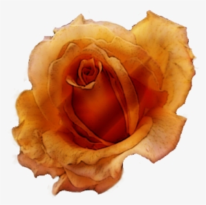 Flowers Vintage Png Scrapbooking, Scrap - Photography