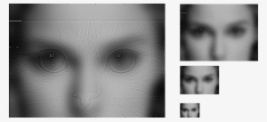 Hybrid Image Of Natalie Portman And Cat - Close-up