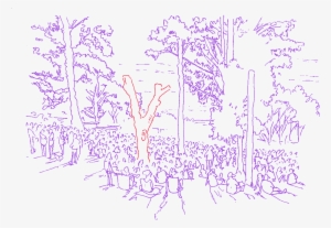 There's A Red Tree At The Back Of The Amphitheatre - Handwriting