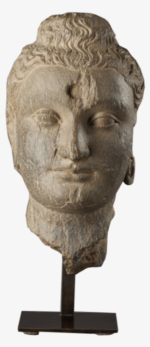 Gandharan Head Of Buddha - Sculpture