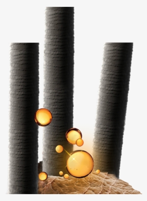 Balancing Regimen Hair Shampoo - Hair