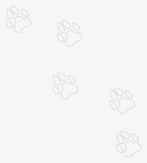 Petsforever Paws - Drawing