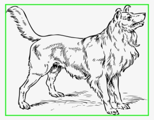 Appealing Big Dog Coloring Sheet Pics For Pages Trends - Realistic Dogs To Color