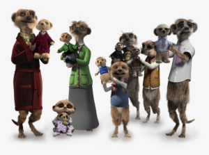 Meerkat Toys - Compare The Market Meerkats