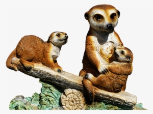 The Meerkat Or Suricate Is A Small Carnivoran Belonging - Surikat Transpaarent