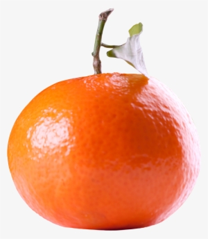 Tangerine Png