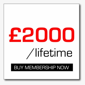 Membership Lifetime - Ducati
