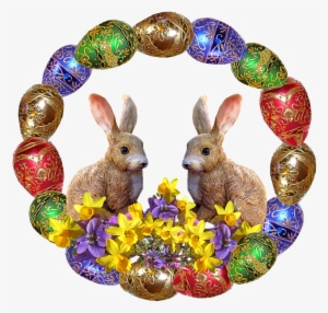 Easter, Rabbits, Flowers - Rabbit