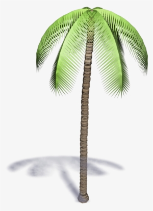 Palm Tree - 3d Palm Tree Bim Png