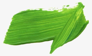 Green Paint Brush Stroke 8 - Green Paint Brush Stroke