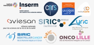 Dingo Meeting Sponsors - Siric Montpellier