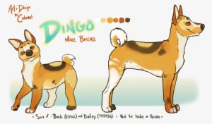 Dingo, Is In Fact, Not A Dingo At All - Basenji