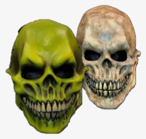 Skull