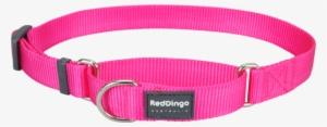 Red Dingo Classic Martingale Dog Collar - Red Dingo Hot Pink Large Martingale Collar