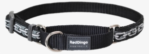 Red Dingo Designer Martingale Dog Collar - Red Dingo Designer Martingale Dog Collar, Small, Chain